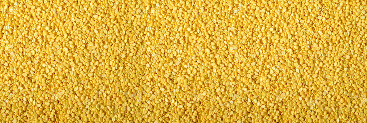 Products - Welcome to Pulses Splitting & Processing Industry (Pvt) Ltd